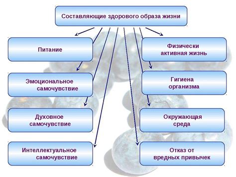 Здоровый образ жизни как основа для предотвращения состояния пониженной работоспособности после употребления алкоголя