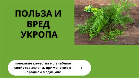 Зеленка в опыте народной медицины: благотворные качества и области применения