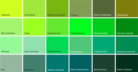 Зеленый цвет: его сущность и особенности