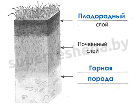 Земля и ее плодородие в тайном языке снов: необычный рассказ о маленьком создании и его символизме