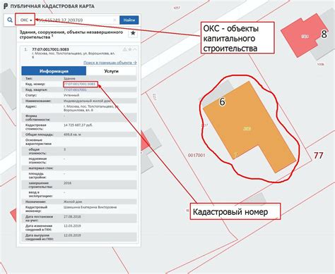 Значение кадастрового номера и его роль в оценке стоимости пая