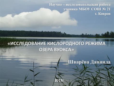 Значение контроля кислородного режима в процессе углевания