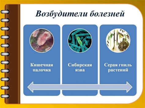 Значение массового появления колючих маленьких существ в сознании