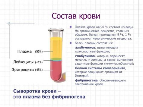 Значение плазмы крови и ее важная роль в организме