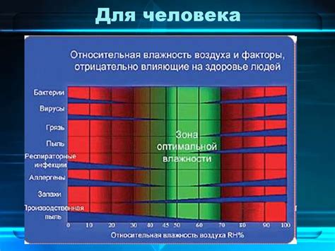 Значение поддержания оптимальной влажности воздуха для эхинокактуса