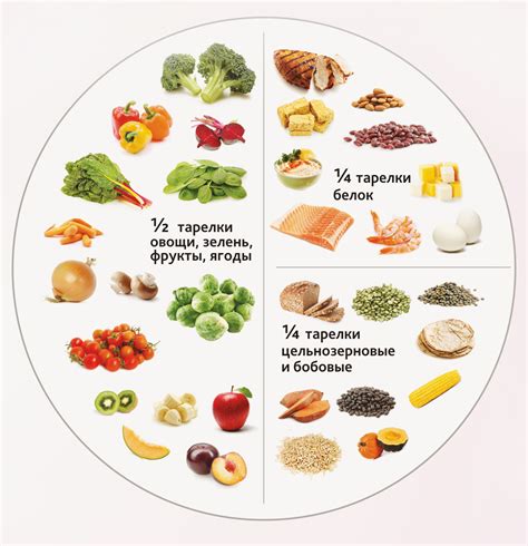 Значение правильного питания и употребления жиросжигающих продуктов