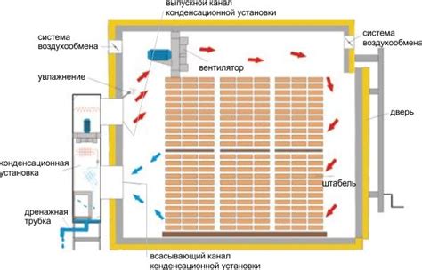 Значение применения сушильной камеры для древесины