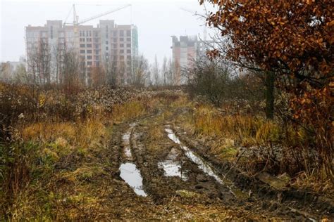 Значение снов о грязном поле в разных комнатах дома