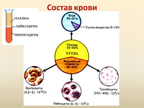 Значение содержания красных кровяных клеток и его связь с характеристиками образцов крови