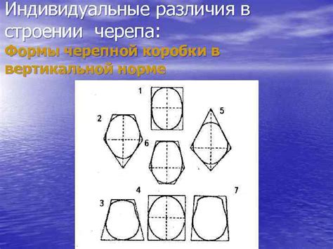 Значение черепной коробки