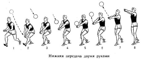 Значимость знания нормы игры и их аккуратного исполнения в волейболе для минимизации ошибок передачи
