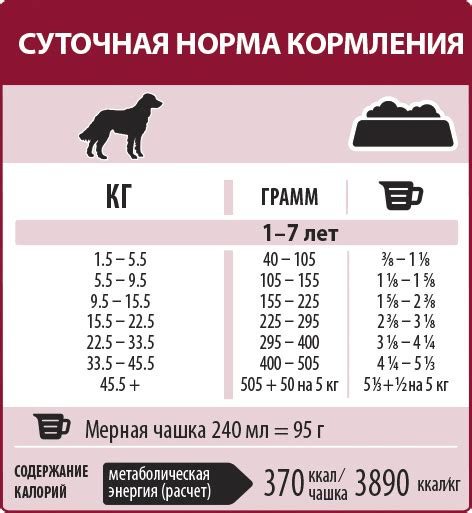 Значимость качественного корма для подрастающего щенка