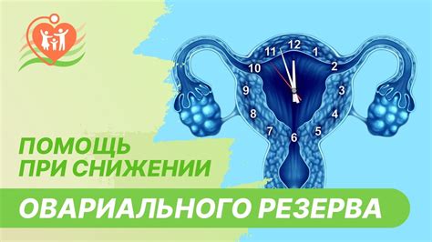 Значимость овариального резерва для женского организма