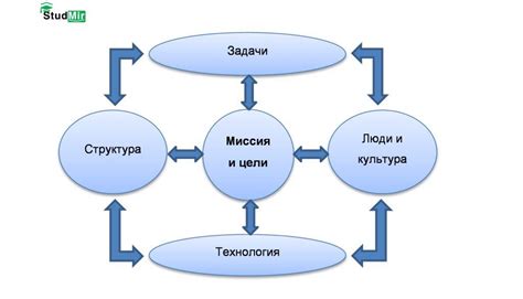 Значимость синхронизации рица и ее влияние на организацию