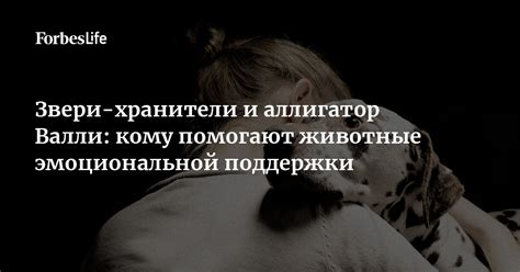 Значимость эмоциональной поддержки и понимания