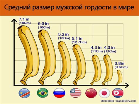 Игра в изменение размеров некоторого члена организма