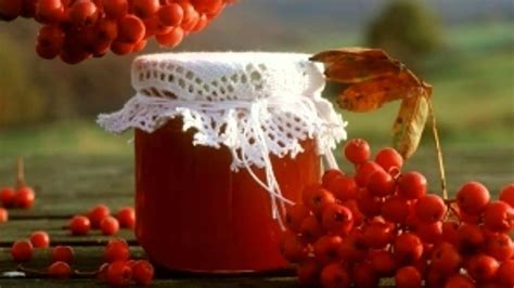 Идеи использования ароматной и полезной ягоды ежевики
