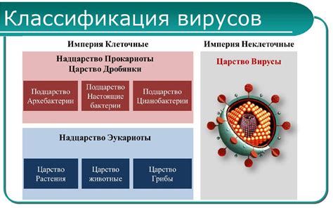 Известные примеры рат вирусов и последствия их действия