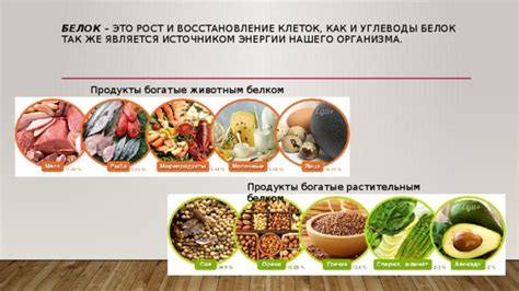 Известные продукты, богатые неусвояемым растительным волокном