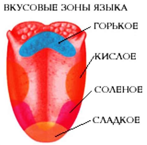 Изменения вкусовых рецепторов