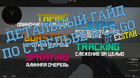 Изначальные характеристики и структура графа путей в игре CS:GO