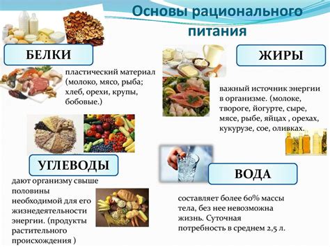 Изобилие питательных веществ в рыбных и творожных продуктах