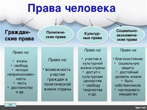 Изучите свои права и обязанности в ходе анализа обвинений