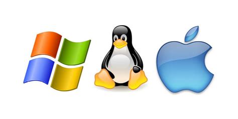 Инструкции по установке КДСС на разные операционные системы: Windows, Mac, Linux