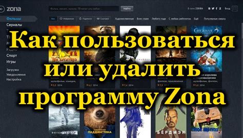 Инструкция по установке игры на ПК при помощи Zona