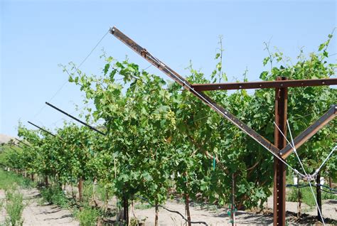 Инструменты и техника для создания конструкции под виноград