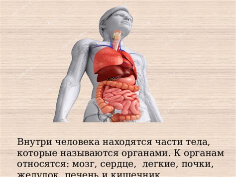 Интенсивное чувство прикосновения к органам внутри матери