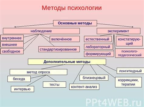 Интерпретация снов о сене в современной аналитической психологии