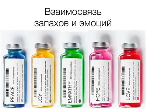 Использование ароматов и запахов для стимуляции пиковых эмоций в путешествии "Рандеву со счастьем"