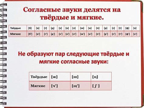 Использование знаков твердости и мягкости в русском языке