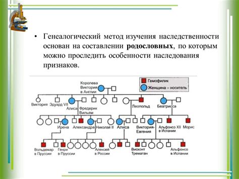 Использование источников для изучения генеалогии