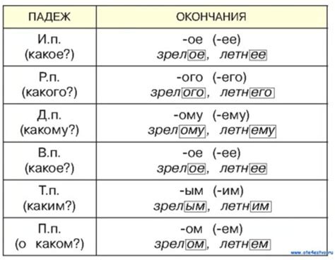 Использование прилагательных во множественном числе: суть и особенности