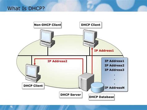 Использование сервера DHCP для определения динамического IP-адреса