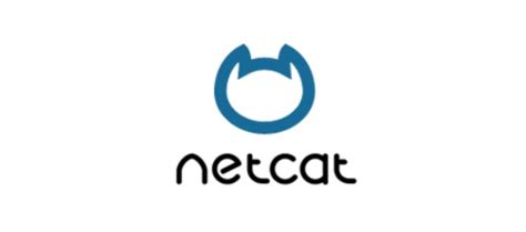 Использование Netcat для установления соединений