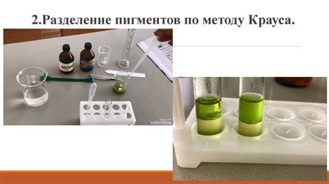 Исследование смысла и метафорического содержания фразы "из огня да в пламя"
