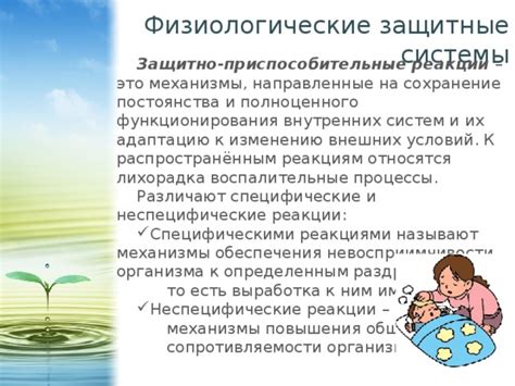 Исследования и открытия в сфере функционирования внутренних систем организма человека