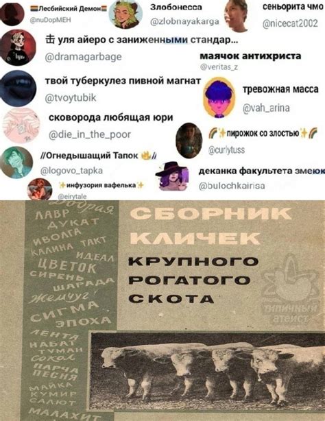 Исследуйте популярные никнеймы в окружении Твитча