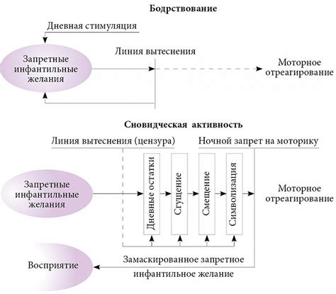 История и значение снов в психоанализе