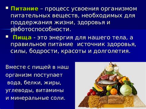 Источник изобилия необходимых питательных компонентов