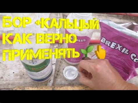 Как верно применять "снова"?