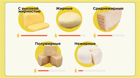 Как выбрать подходящие сорта сыра для создания неповторимого соуса