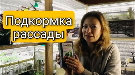 Как выбрать подходящую подкормку?