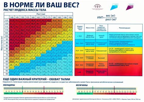 Как детальная оценка массы тела может помочь понять свой вес?