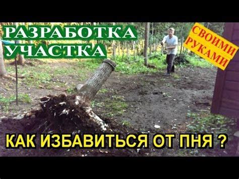 Как избавиться от загрязнения клумбы кошками