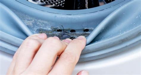 Как избежать появления грибка на уплотнительной резинке стиральной машины?