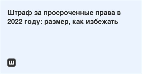 Как избежать штрафа и проблем при отсутствии водительских прав?